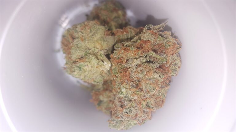 24k Gold Marijuana Strain