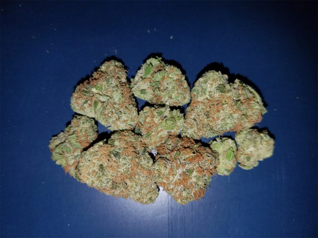 Blueberry Haze Marijuana Strain Information | Pettals Cannabis Dispensary