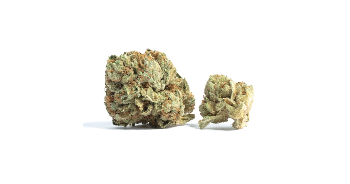 Lemon Cherry Gelato Strain | Weed Strain Information & Effects | Pettals  Cannabis Dispensary