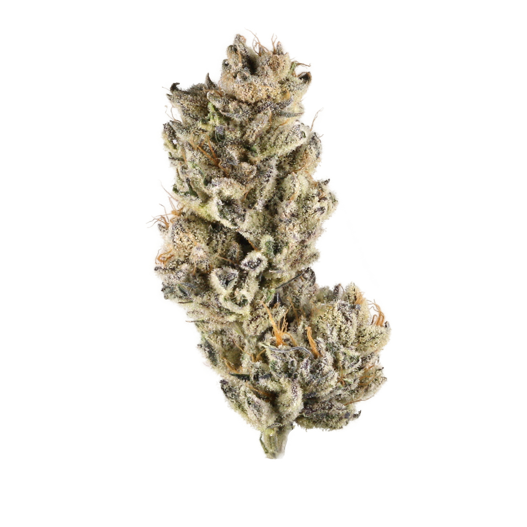 Purple Punch Marijuana Strain Information & Effects | Purple Punch Strain  Profile | Pettals Cannabis Dispensary