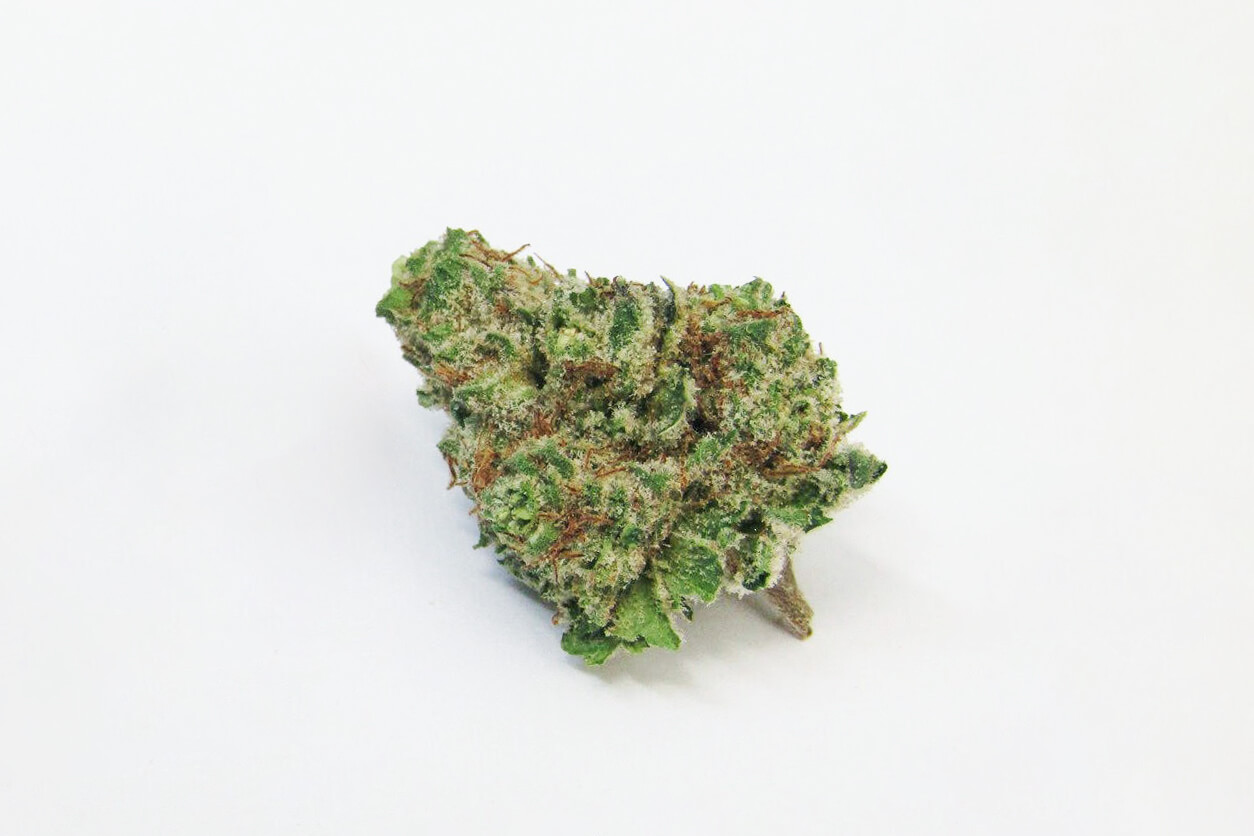 Mimosa Marijuana Strain Information & Effects | Mimosa Strain Profile |  Pettals Cannabis Dispensary