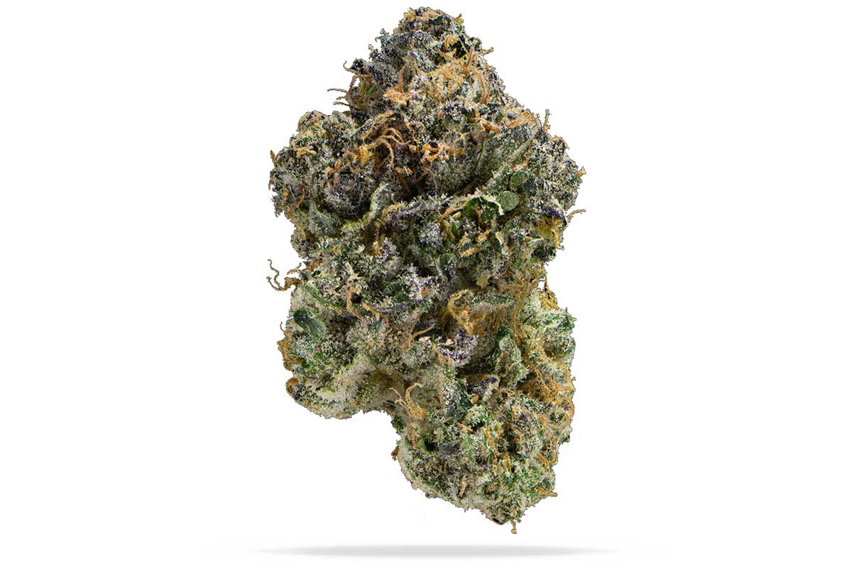 Permanent Marker Strain Effects | Hybrid Genetics Guide | Pettals Cannabis  Dispensary