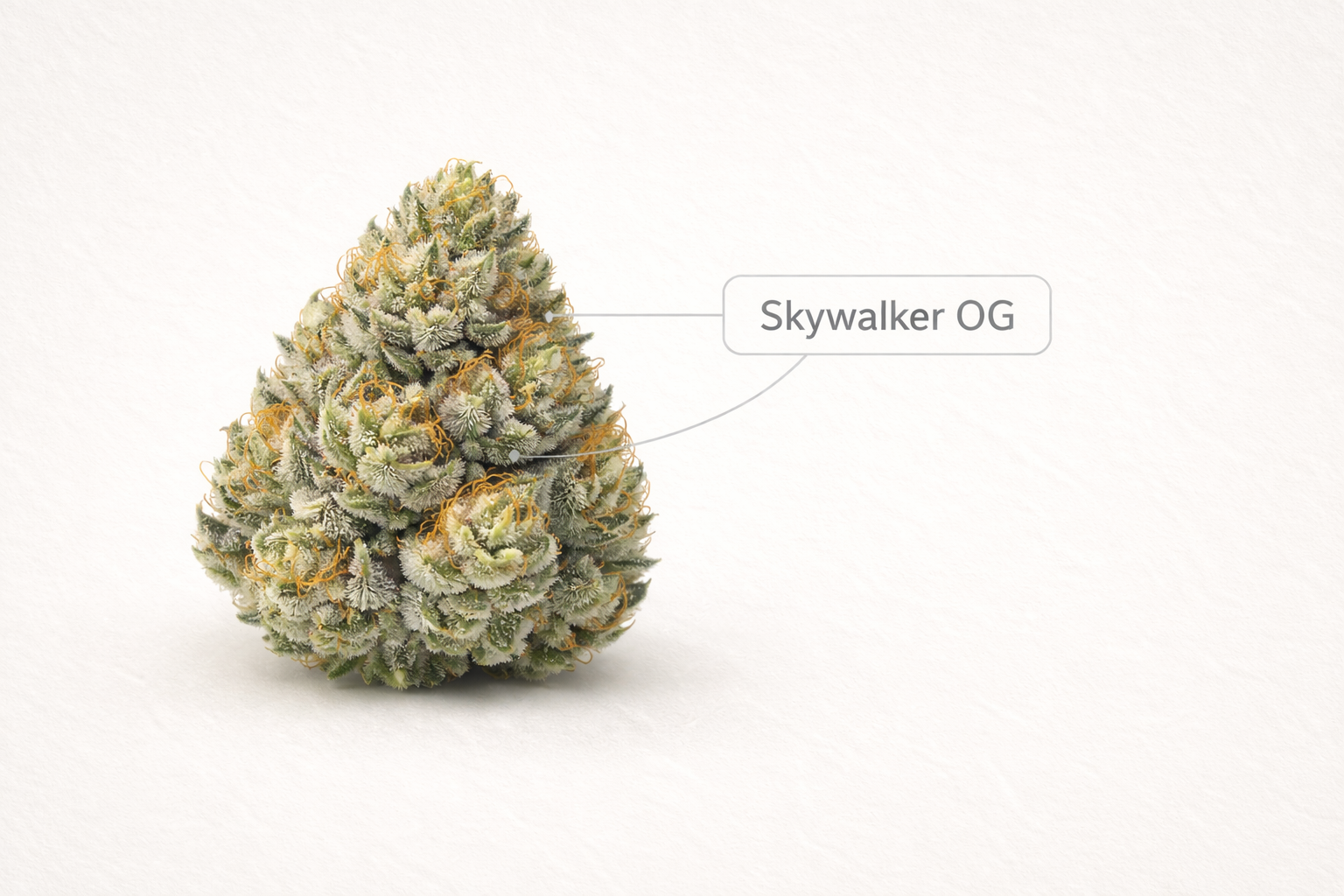 Skywalker OG Strain | Effects, Flavor, THC, Lineage & More | Pettals  Cannabis Dispensary