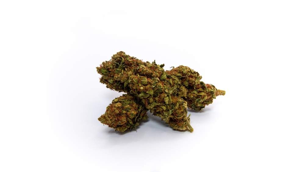 kush mints strain