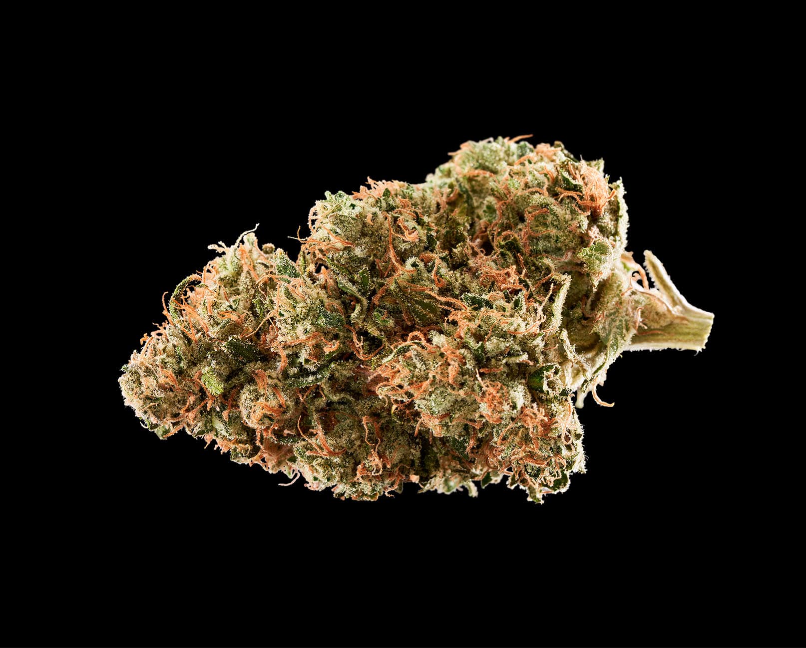 sour diesel strain