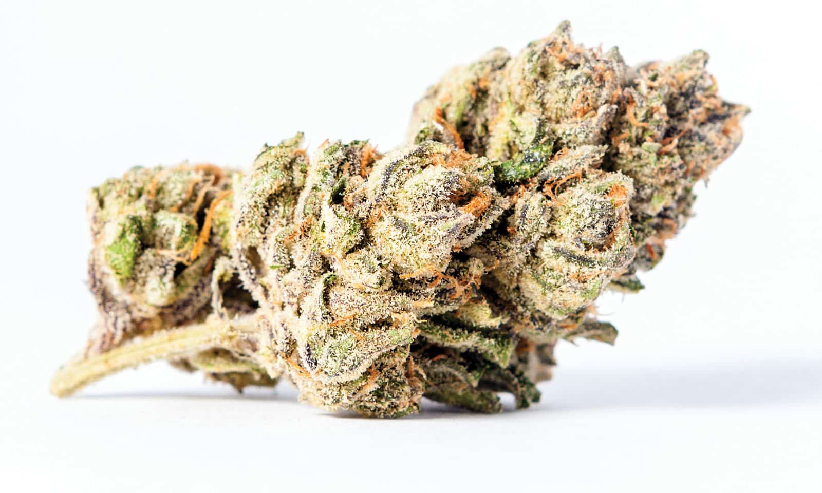 zkittlez strain